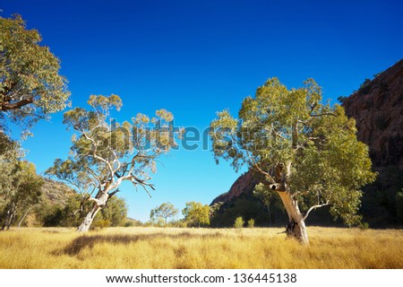 Landscape image of the beautiful Australian outback.