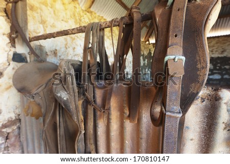 Horse riding equipment hanging on a rustic barn wall.