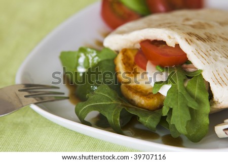 A yummy, delicious vegetarian sandwich made with a whole wheat pita.