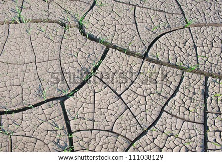 Cracked land texture with grass