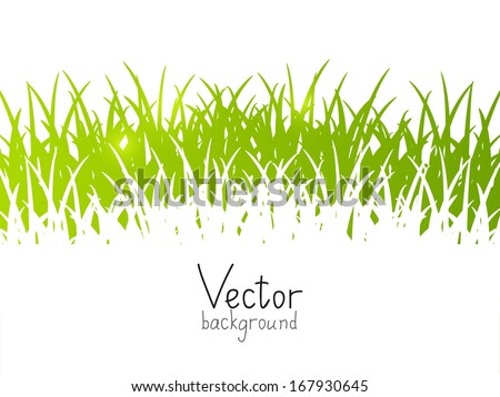 Spring Background With Place For Your Text