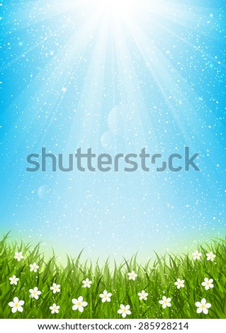 Sunny summer meadow for Your design