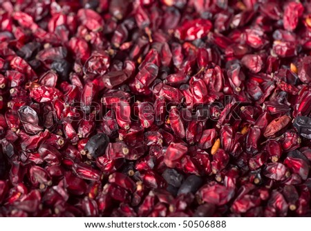 Dried barberry background