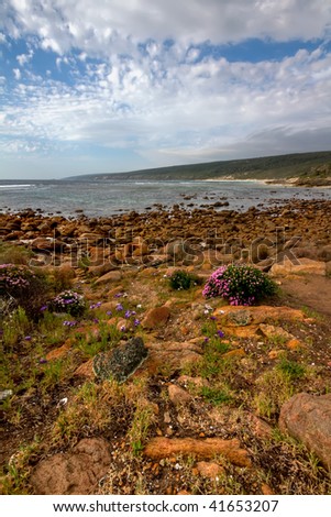 View of a rocky bay with wild flowers in the foreground. High dynamic range (HDR) image.