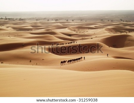 Caravan in the Sahara, Caravan, Desert, Dunes, Sand, Camels, Marocco, Africa
