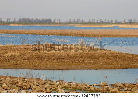 Lonely Landscape