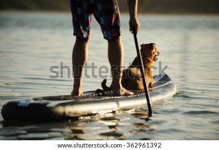 Mixed breed dog lying on the front of a paddle board with a man paddling