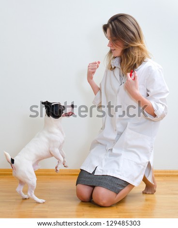 Veterinarian getting in contact with dog to cut it\'s claws