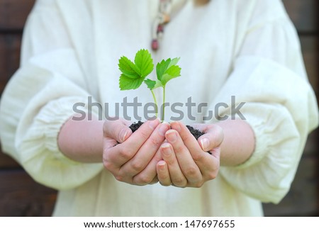 Female hands holding soil with green sprout