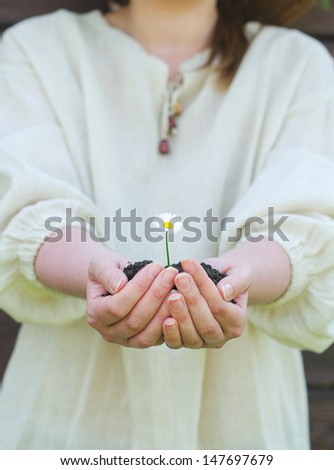 Female hands holding soil with white flower