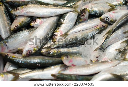 All kinds of frozen fish on the market.
