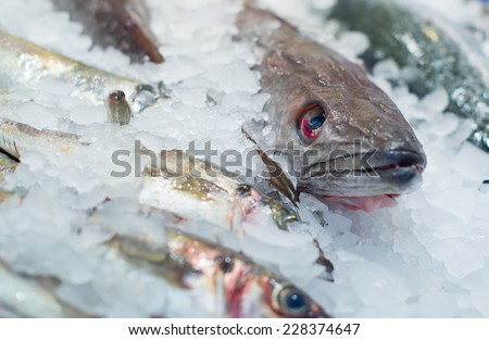 Frozen fish on the market.