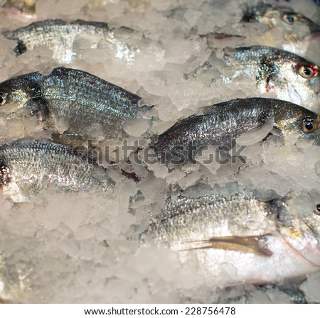 All kinds of frozen fish on the market.