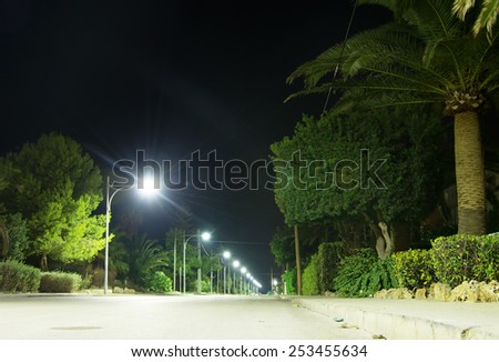 Highway with lanterns at night.