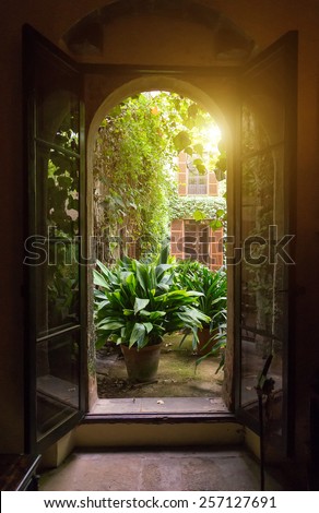 View from open window to the garden.