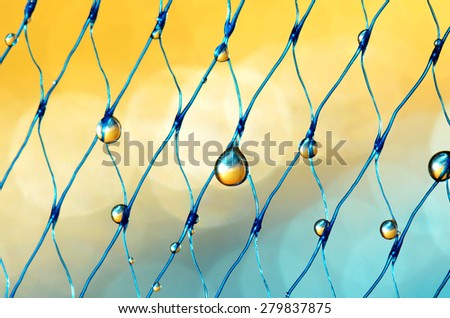 droplets on the blue net