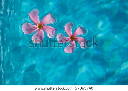 Floating flower