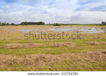 landscape texture and pattern of cloudy skies over a flooded crop of newly cut hay