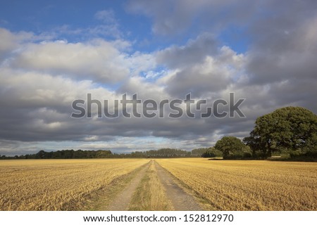 a rural farm track running through a newly cut wheat field in late summer under a dramatic sky