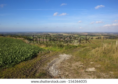 English landscape with a view towards the village of Acklam in the  picturesque landscape in the yorkshire wolds under a blue sky in late summer