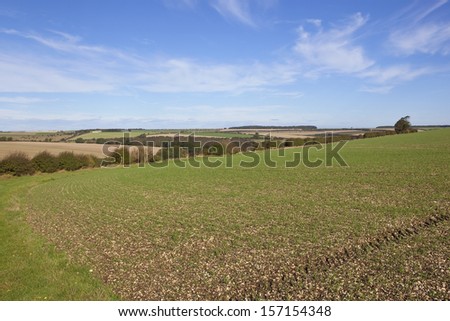 scenic agricultural land in the yorkshire wolds england with fields and hedgerows under a blue sky in autumn
