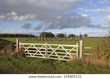 new wooden farm gates enclosing a young wheat field with trees and hedgerows under a blue cloudy sky in autumn