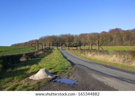 autumn landscape with road salt by a small rural road ready for winter ice