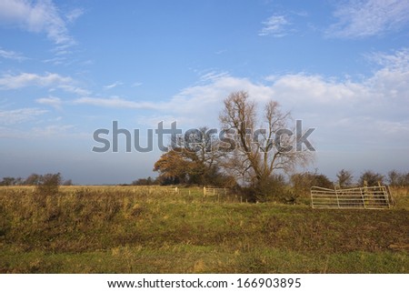 an old metal farm gate on a grassy bank near a canal under a blue cloudy sky in winter