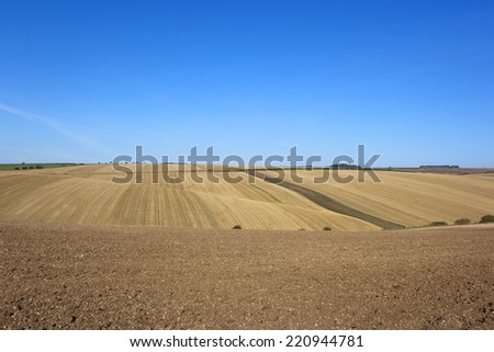 harvested fields with cultivated soil in the yorkshire wolds in autumn