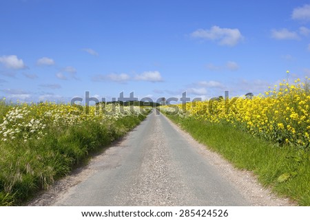 a rural highway through agricultural land in the yorkshire wolds england with mustard crops and a grass verge with wildflowers under a blue sky in summer