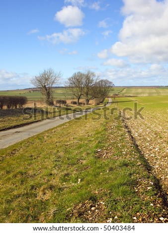 a picturesque country road through the yorkshire wolds in england in springtime