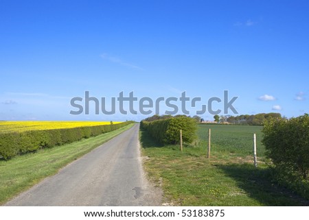 an English country landscape with a narrow road and agricultural fields in springtime under a blue sky