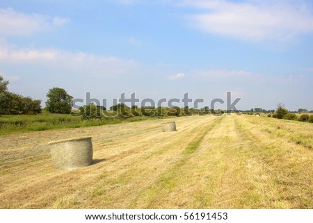 english landscape with a view of the newly baled hay-fields alongside the river derwent in yorkshire