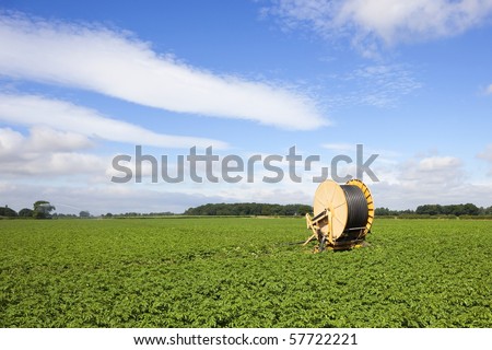 irrigation equipment in a field of potatoes in summer under a blue sky
