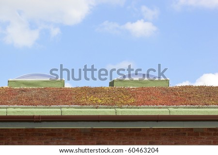drought tolerant sedum plants growing on the roof of a modern building to provide living insulation