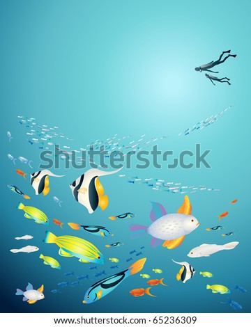 Tropical Fish Scenes