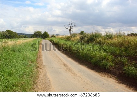 english landscape with a small country road running through farmland in rural yorkshire  in summer
