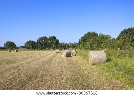 summer landscape with round hay bales in a newly cut hay field under a summer sky