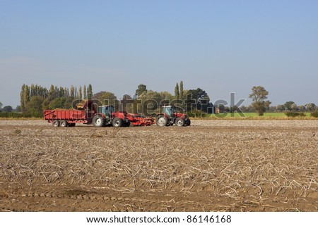 a potato harvesting machine with two red tractors working in a field under a blue sky in autumn