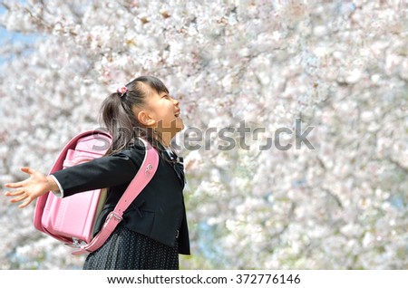 primary school student (new first grader-cherry blossom)