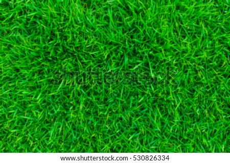blurred green lawn,backyard for background,Grass texture