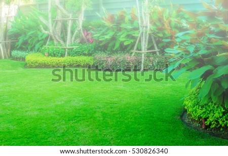 Green lawn, the front lawn for background,garden landscape design