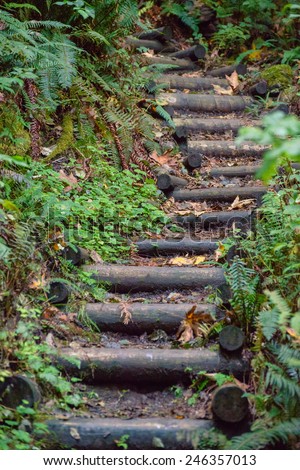 Steep wooden log steps climbing up the trail in the woods
