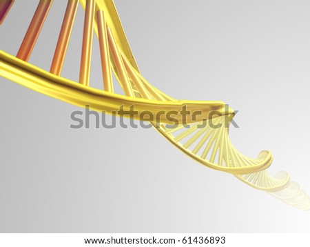 deoxyribonucleic acid