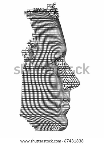 Profile Of Human