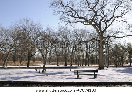 Winter scene of a park with an empty park bench, on a bright sunny day.