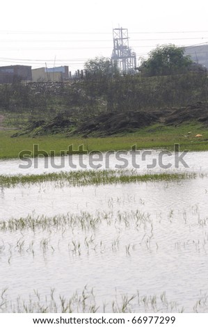 BHOPAL - DECEMBER 4: A view of the Union Carbide Gas Plant and the dumping ground  where they dumped their chemical waste after the gas disaster in 1984,,in Bhopal - India on December 4, 2010.