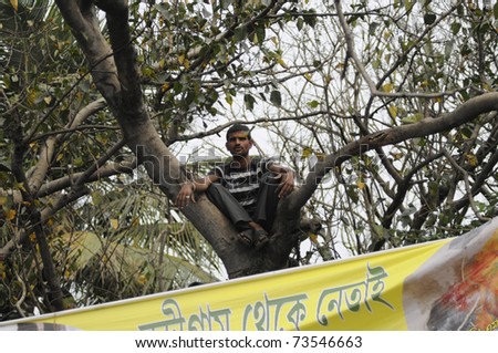 KOLKATA - FEBRUARY 20:A Supporter of All India Trinamool Congress climed a tree to see the speakers during a rally organized to kick the 2011 election champagne, in Kolkata,India on February 20, 2011.