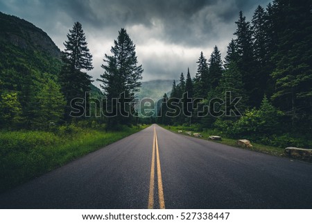 Forest road on a cloudy day. Glacier National Park, Montana, USA