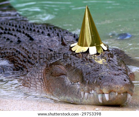 stock-photo-australian-saltwater-crocodi